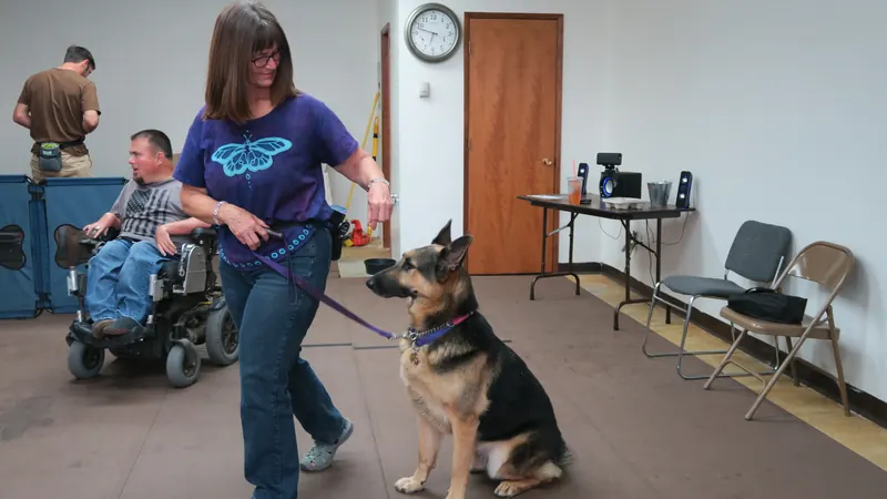 Clients and dogs in a Prodogz Dog Training basic obedience class led by Jason Lake in Medford, Oregon — September 24, 2018, photo 9