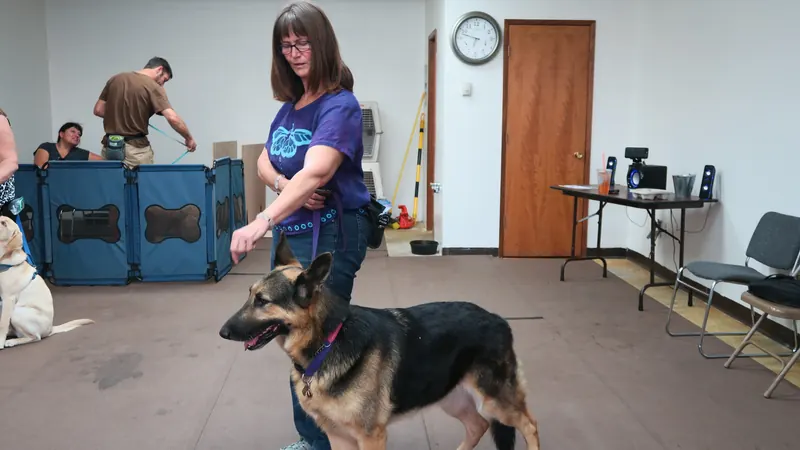 Clients and dogs in a Prodogz Dog Training basic obedience class led by Jason Lake in Medford, Oregon — September 24, 2018, photo 10