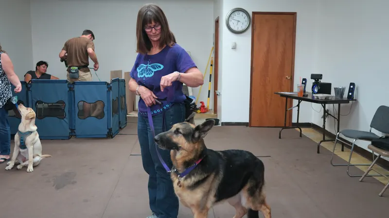 Clients and dogs in a Prodogz Dog Training basic obedience class led by Jason Lake in Medford, Oregon — September 24, 2018, photo 11