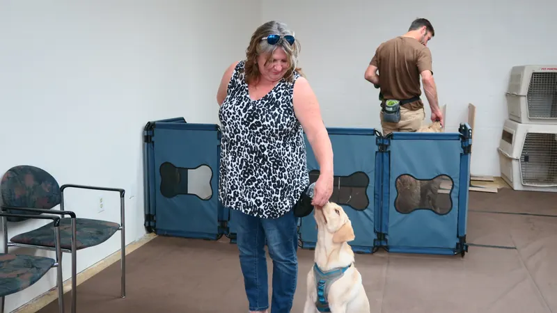 Clients and dogs in a Prodogz Dog Training basic obedience class led by Jason Lake in Medford, Oregon — September 24, 2018, photo 13