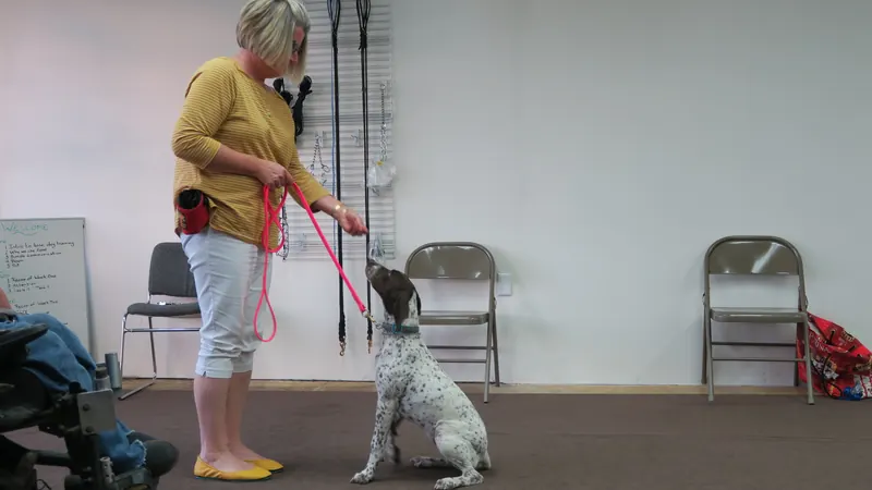 Clients and dogs in a Prodogz Dog Training basic obedience class led by Jason Lake in Medford, Oregon — September 24, 2018, photo 16