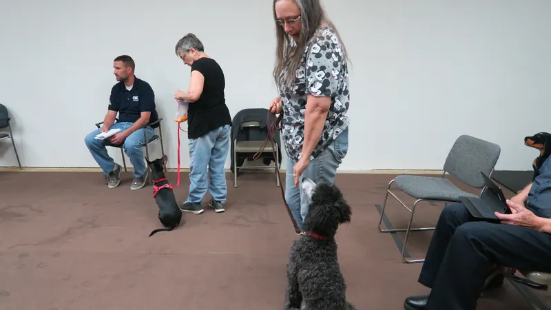 Clients and dogs in a Prodogz Dog Training basic obedience class led by Jason Lake in Medford, Oregon — October 22, 2018, photo 1
