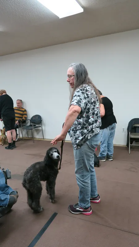Clients and dogs in a Prodogz Dog Training basic obedience class led by Jason Lake in Medford, Oregon — October 22, 2018, photo 2