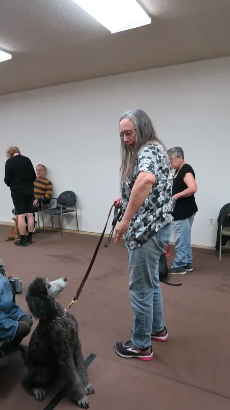 Clients and dogs in a Prodogz Dog Training basic obedience class led by Jason Lake in Medford, Oregon — October 22, 2018, photo 3