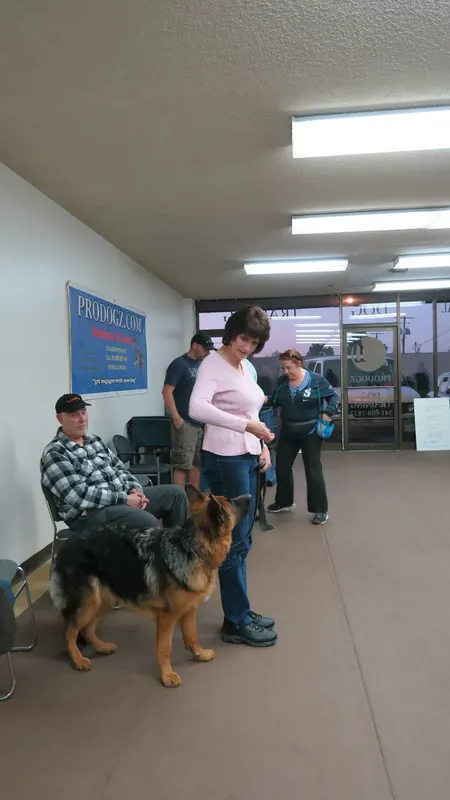 Clients and dogs in a Prodogz Dog Training basic obedience class led by Jason Lake in Medford, Oregon — October 22, 2018, photo 4