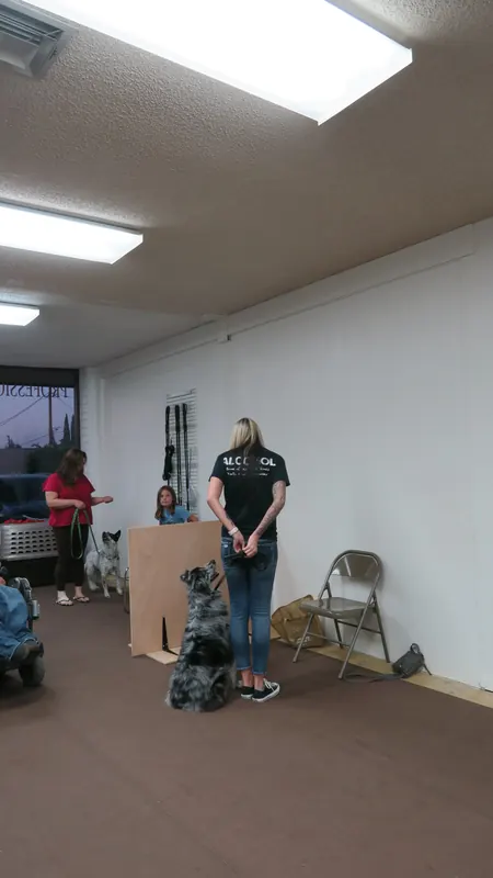 Clients and dogs in a Prodogz Dog Training basic obedience class led by Jason Lake in Medford, Oregon — October 22, 2018, photo 6