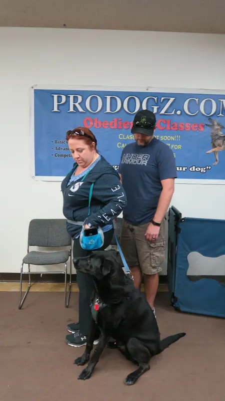 Clients and dogs in a Prodogz Dog Training basic obedience class led by Jason Lake in Medford, Oregon — October 22, 2018, photo 8
