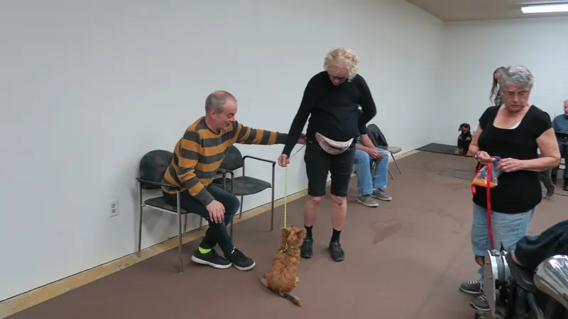 Clients and dogs in a Prodogz Dog Training basic obedience class led by Jason Lake in Medford, Oregon — October 22, 2018, photo 11