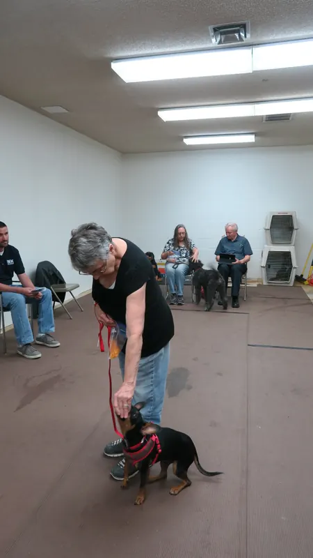 Clients and dogs in a Prodogz Dog Training basic obedience class led by Jason Lake in Medford, Oregon — October 22, 2018, photo 12