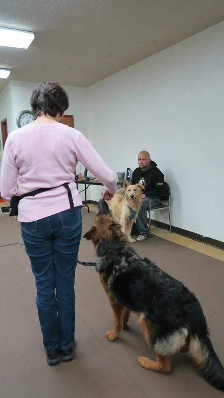 Clients and dogs in a Prodogz Dog Training basic obedience class led by Jason Lake in Medford, Oregon — October 22, 2018, photo 13