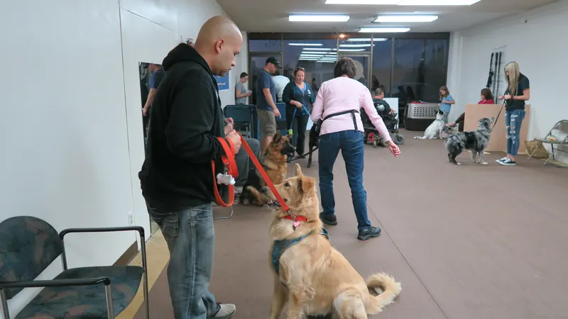 Clients and dogs in a Prodogz Dog Training basic obedience class led by Jason Lake in Medford, Oregon — October 22, 2018, photo 14