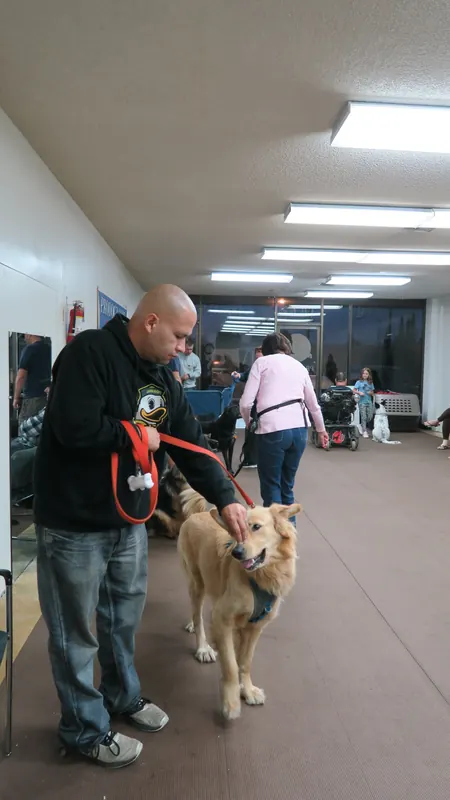 Clients and dogs in a Prodogz Dog Training basic obedience class led by Jason Lake in Medford, Oregon — October 22, 2018, photo 15