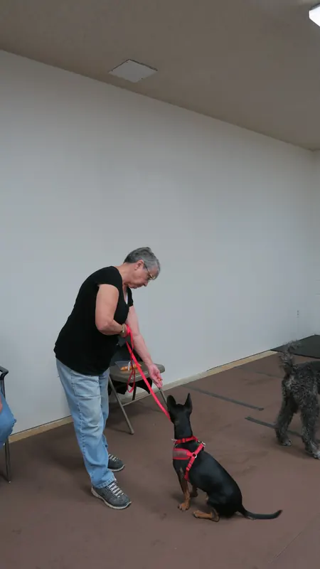 Clients and dogs in a Prodogz Dog Training basic obedience class led by Jason Lake in Medford, Oregon — October 22, 2018, photo 17