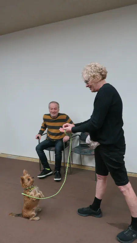 Clients and dogs in a Prodogz Dog Training basic obedience class led by Jason Lake in Medford, Oregon — October 22, 2018, photo 18