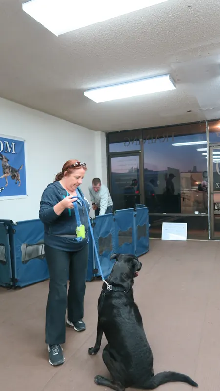 Clients and dogs in a Prodogz Dog Training basic obedience class led by Jason Lake in Medford, Oregon — October 22, 2018, photo 22
