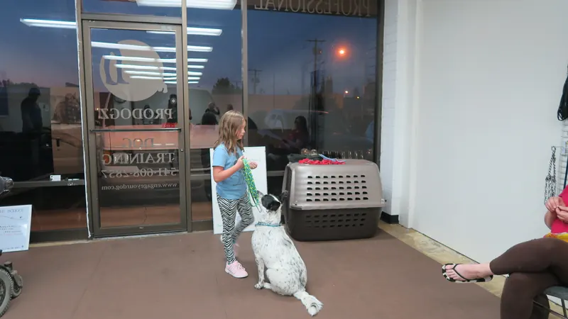 Clients and dogs in a Prodogz Dog Training basic obedience class led by Jason Lake in Medford, Oregon — October 22, 2018, photo 24