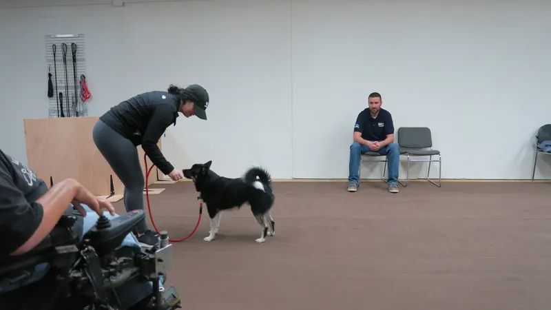 Clients and dogs in a Prodogz Dog Training basic obedience class led by Jason Lake in Medford, Oregon — December 17, 2018, photo 1
