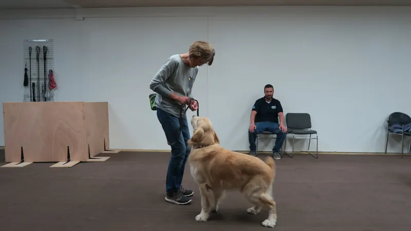 Clients and dogs in a Prodogz Dog Training basic obedience class led by Jason Lake in Medford, Oregon — December 17, 2018, photo 2