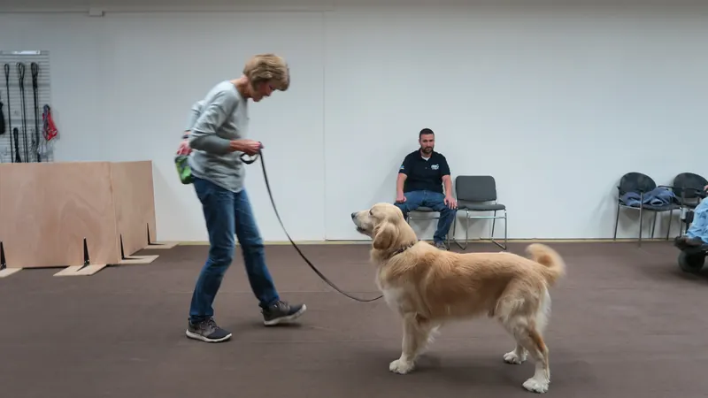 Clients and dogs in a Prodogz Dog Training basic obedience class led by Jason Lake in Medford, Oregon — December 17, 2018, photo 3