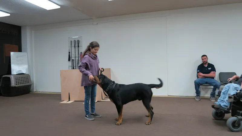 Clients and dogs in a Prodogz Dog Training basic obedience class led by Jason Lake in Medford, Oregon — December 17, 2018, photo 4