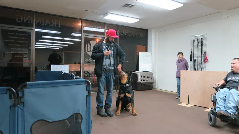 Clients and dogs in a Prodogz Dog Training basic obedience class led by Jason Lake in Medford, Oregon — December 17, 2018, photo 5
