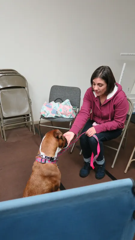 Clients and dogs in a Prodogz Dog Training basic obedience class led by Jason Lake in Medford, Oregon — January 14, 2019, photo 1