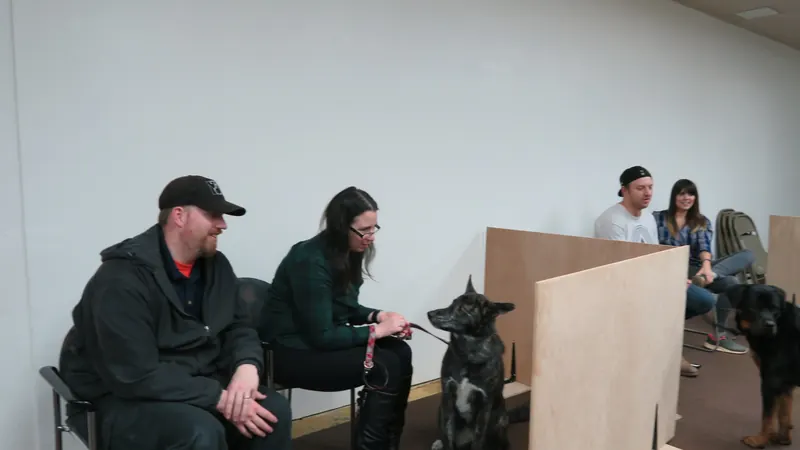 Clients and dogs in a Prodogz Dog Training basic obedience class led by Jason Lake in Medford, Oregon — January 14, 2019, photo 3