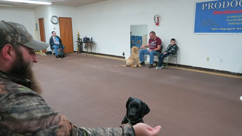 Clients and dogs in a Prodogz Dog Training basic obedience class led by Jason Lake in Medford, Oregon — January 14, 2019, photo 8