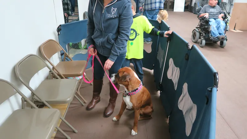 Clients and dogs in a Prodogz Dog Training basic obedience class led by Jason Lake in Medford, Oregon — January 28, 2019, photo 11