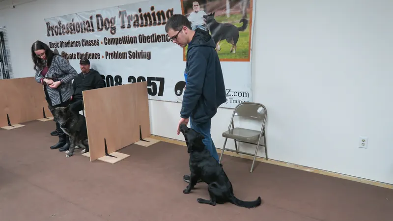 Clients and dogs in a Prodogz Dog Training basic obedience class led by Jason Lake in Medford, Oregon — January 28, 2019, photo 12