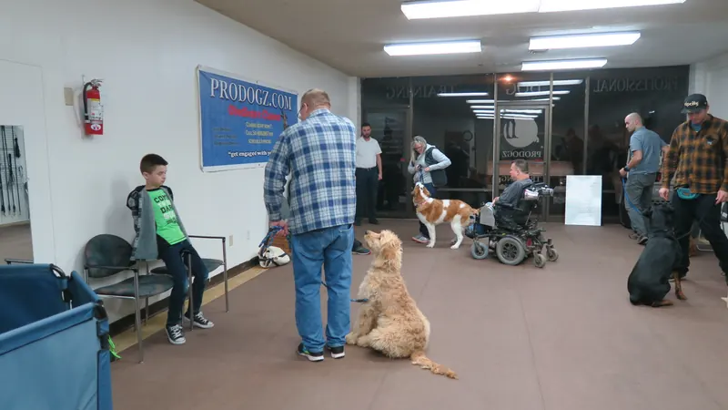 Clients and dogs in a Prodogz Dog Training basic obedience class led by Jason Lake in Medford, Oregon — January 28, 2019, photo 13