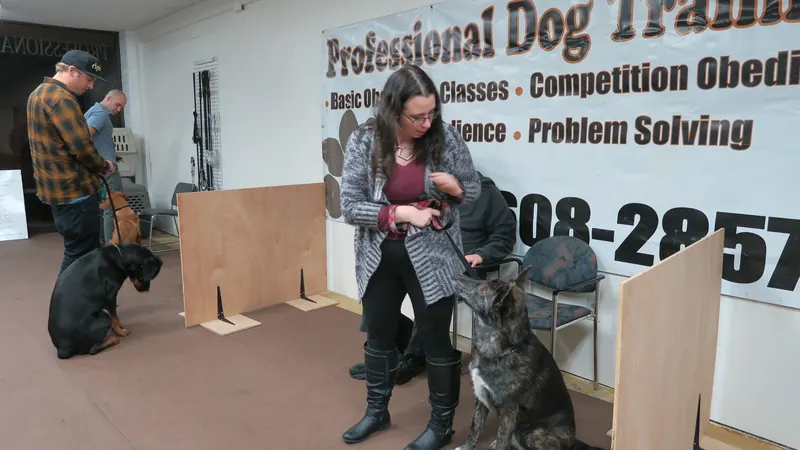 Clients and dogs in a Prodogz Dog Training basic obedience class led by Jason Lake in Medford, Oregon — January 28, 2019, photo 14
