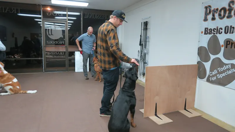 Clients and dogs in a Prodogz Dog Training basic obedience class led by Jason Lake in Medford, Oregon — January 28, 2019, photo 15