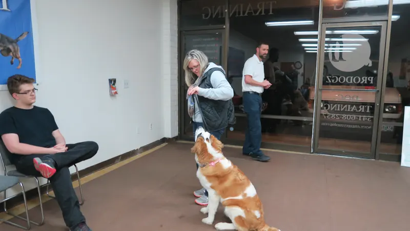 Clients and dogs in a Prodogz Dog Training basic obedience class led by Jason Lake in Medford, Oregon — January 28, 2019, photo 16