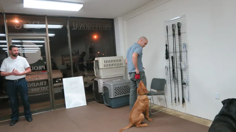 Clients and dogs in a Prodogz Dog Training basic obedience class led by Jason Lake in Medford, Oregon — January 28, 2019, photo 17