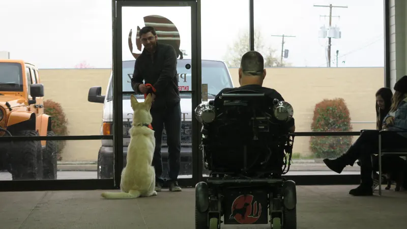 Clients and dogs in a Prodogz Dog Training basic obedience class led by Jason Lake in Medford, Oregon — March 25, 2019, photo 4