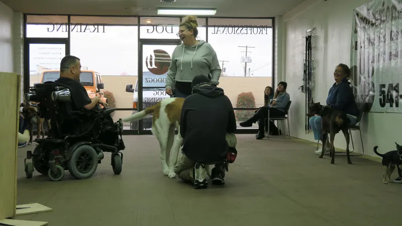 Clients and dogs in a Prodogz Dog Training basic obedience class led by Jason Lake in Medford, Oregon — March 25, 2019, photo 5