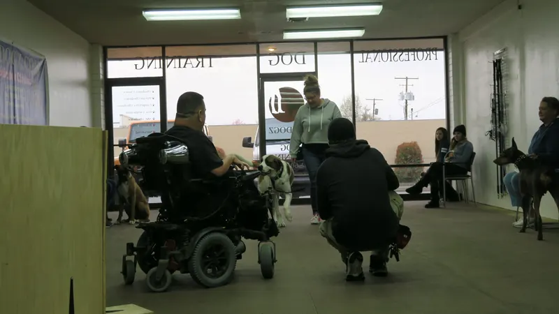 Clients and dogs in a Prodogz Dog Training basic obedience class led by Jason Lake in Medford, Oregon — March 25, 2019, photo 6