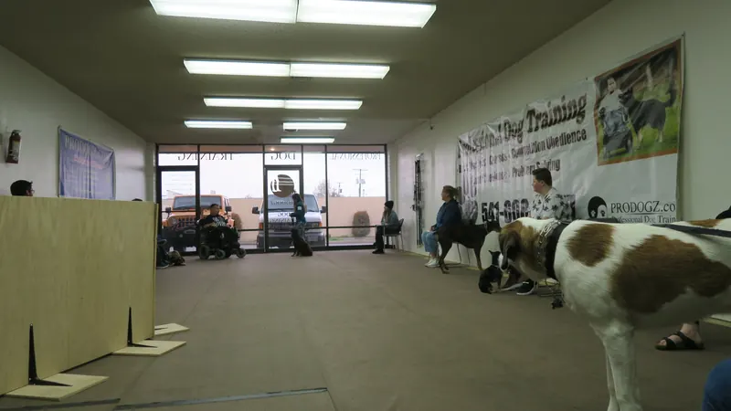 Clients and dogs in a Prodogz Dog Training basic obedience class led by Jason Lake in Medford, Oregon — March 25, 2019, photo 8