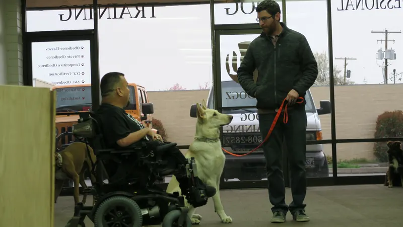 Clients and dogs in a Prodogz Dog Training basic obedience class led by Jason Lake in Medford, Oregon — March 25, 2019, photo 9
