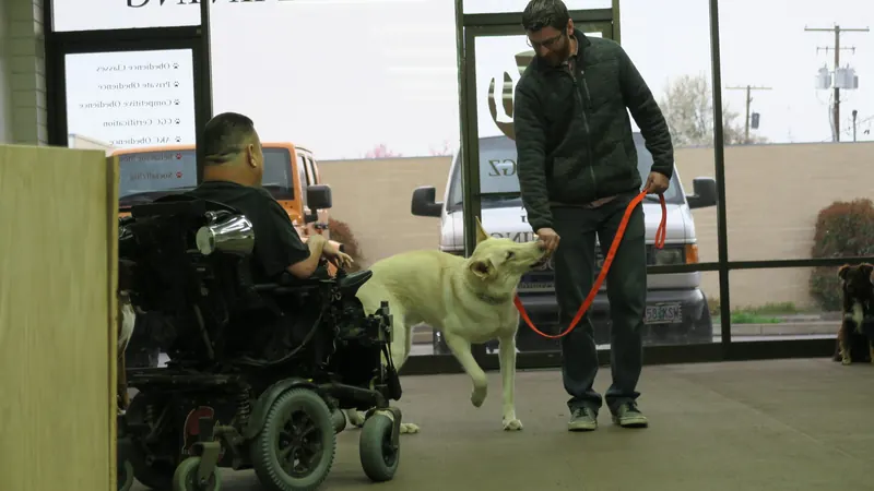 Clients and dogs in a Prodogz Dog Training basic obedience class led by Jason Lake in Medford, Oregon — March 25, 2019, photo 10