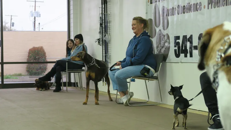 Clients and dogs in a Prodogz Dog Training basic obedience class led by Jason Lake in Medford, Oregon — March 25, 2019, photo 11