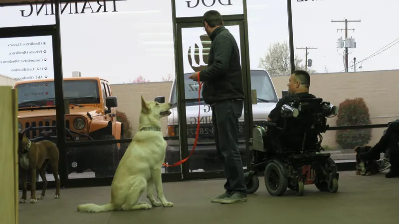 Clients and dogs in a Prodogz Dog Training basic obedience class led by Jason Lake in Medford, Oregon — March 25, 2019, photo 12