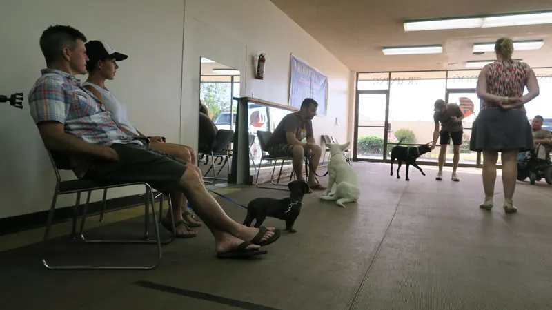 Clients and dogs in a Prodogz Dog Training basic obedience class led by Jason Lake in Medford, Oregon — June 24, 2019, photo 1