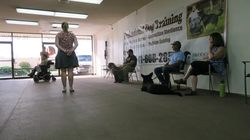 Clients and dogs in a Prodogz Dog Training basic obedience class led by Jason Lake in Medford, Oregon — June 24, 2019, photo 2
