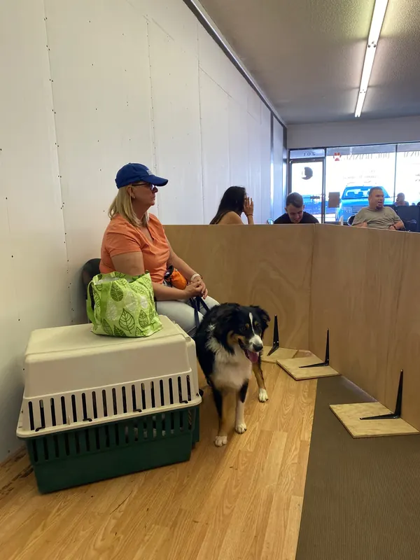 Clients and dogs in a Prodogz Dog Training basic obedience class led by Jason Lake in Medford, Oregon — June 1, 2020, photo 1