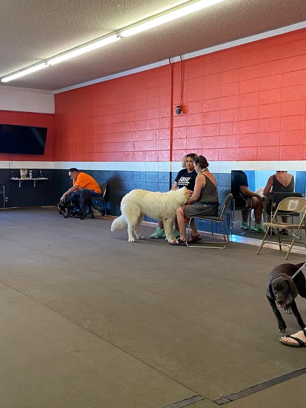 Clients and dogs in a Prodogz Dog Training basic obedience class led by Jason Lake in Medford, Oregon — June 1, 2020, photo 2