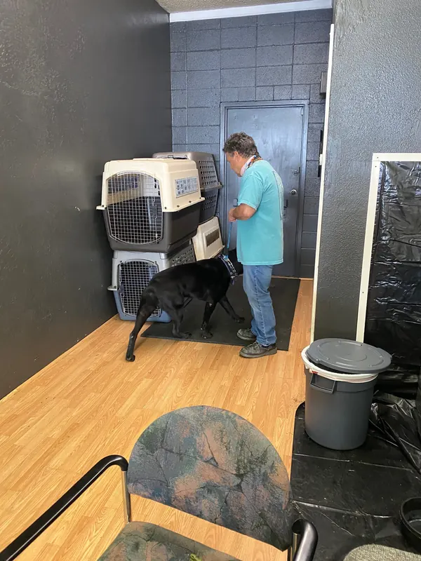 Clients and dogs in a Prodogz Dog Training basic obedience class led by Jason Lake in Medford, Oregon — June 1, 2020, photo 3