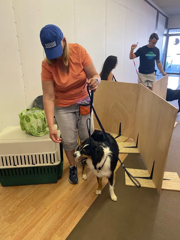 Clients and dogs in a Prodogz Dog Training basic obedience class led by Jason Lake in Medford, Oregon — June 1, 2020, photo 4