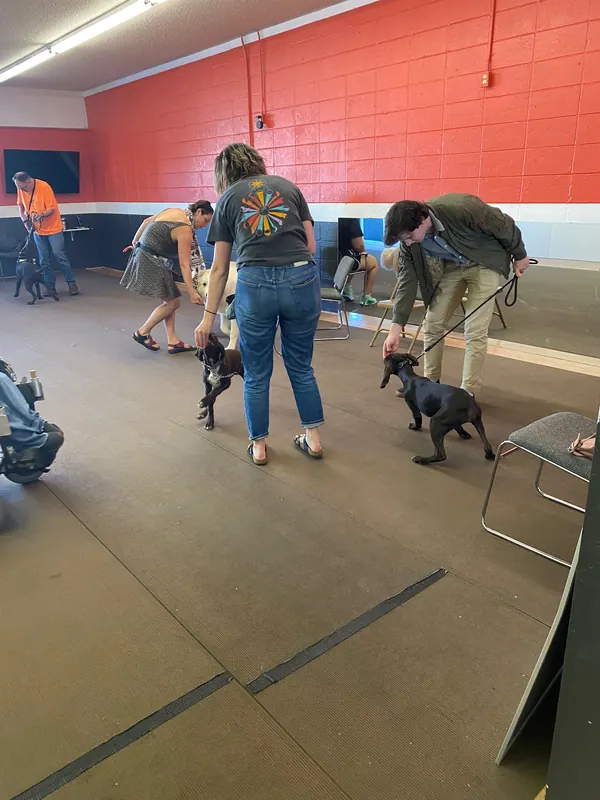 Clients and dogs in a Prodogz Dog Training basic obedience class led by Jason Lake in Medford, Oregon — June 1, 2020, photo 5